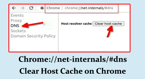 Chrome://net-internals/#dns Borrar caché de host